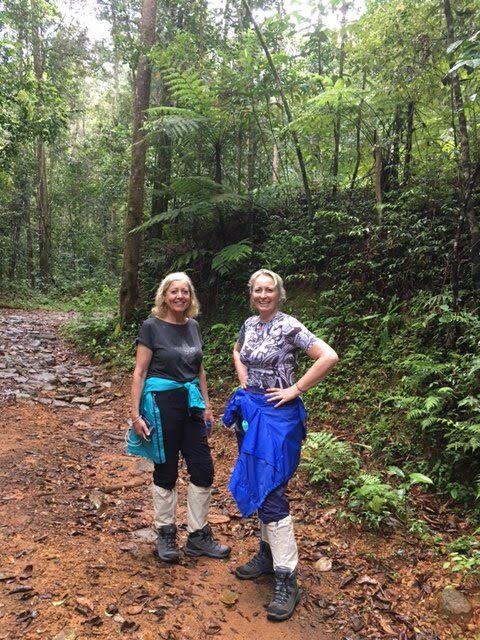 Forest Walk Tour Sinharaja – photo 2