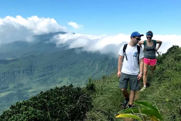 Forest Walk Tour Knuckles Mountain Range – photo 4