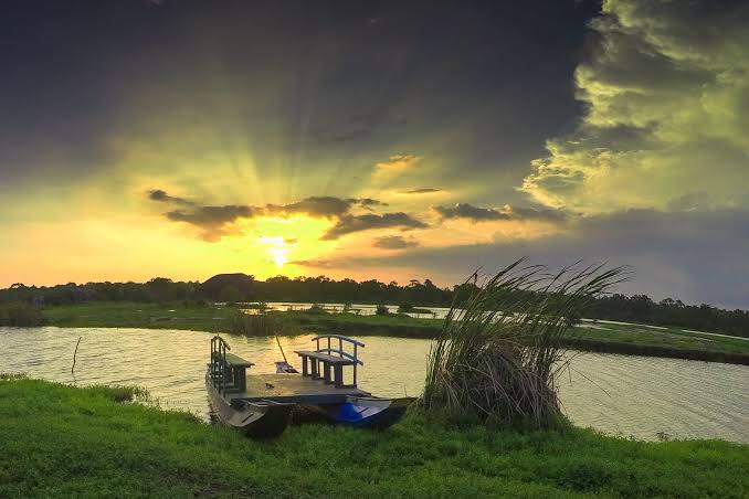 Kalametiya Lagoon Bird Watching Tour – photo 3