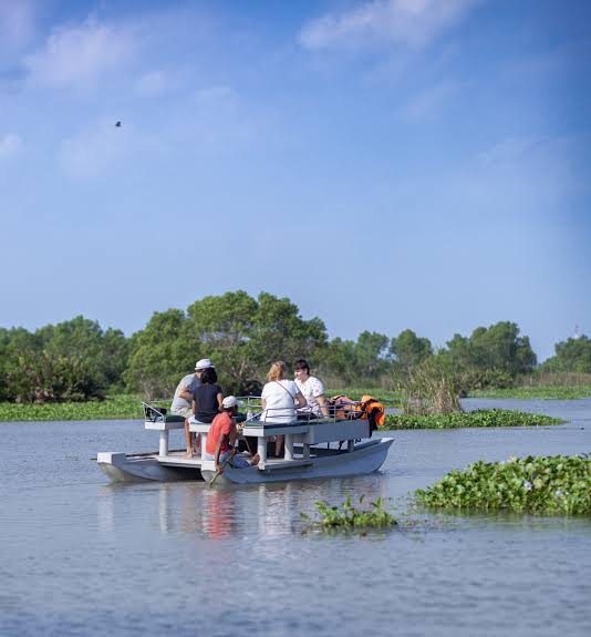 Kalametiya Lagoon Bird Watching Tour – photo 2