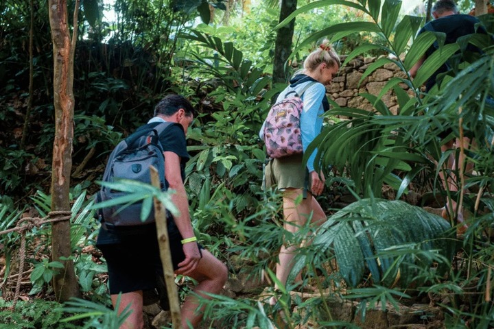 Forest Walk Tour Kanneliya  Reserve