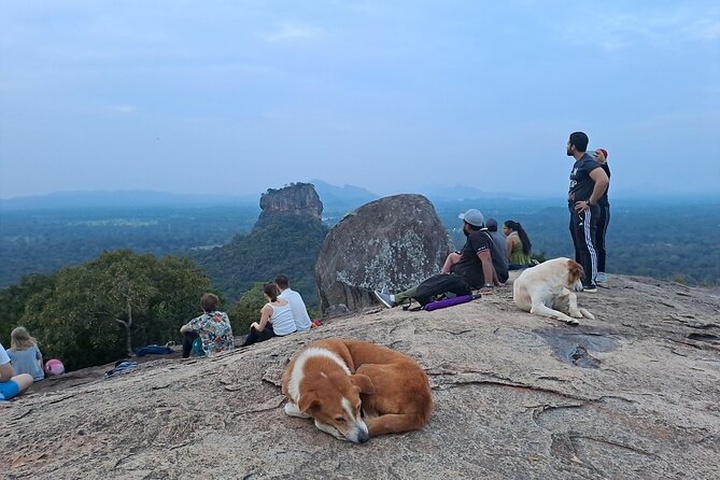 Pidurangala Hiking Tour
