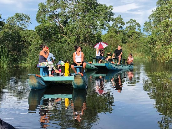 Kalametiya Lagoon Bird Watching Tour