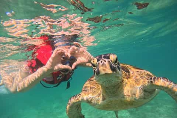 Rekawa Sea Turtle Watching Tour
