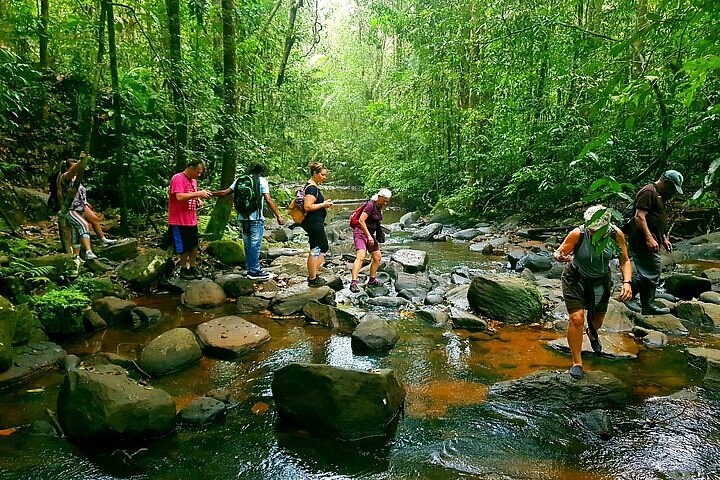 Forest Walk Tour Sinharaja