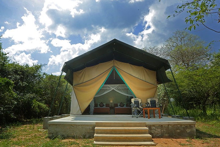 Camping Tour Wilpattu