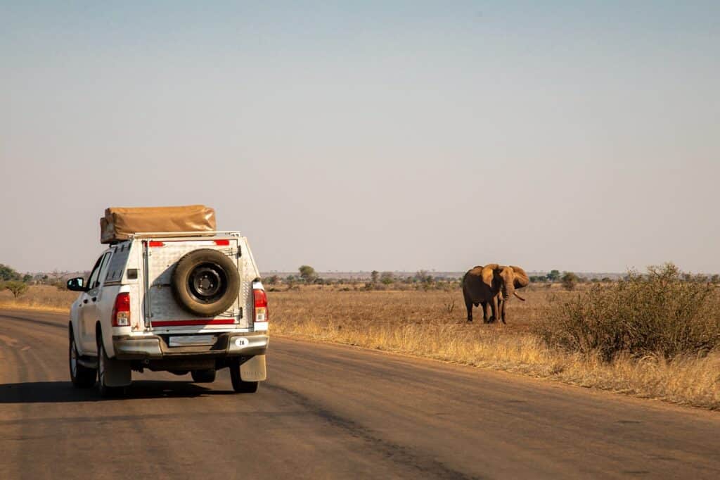 Safari, jeep tour, national park